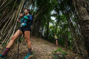 BIB: 
                            <button type="button" onclick="openModal(19395826)" class="btn btn-primary btn-sm float-right btn-popup" data-toggle="modal" data-target=".modal-high-quality">
                        <i class="fas fa-shopping-cart"></i> Add to Cart
                    </button>
                                            <button type="button" onclick="isThisMe(19395826, true)" class="btn btn-success btn-sm float-right btn-popup btn-isme hidden" data-toggle="tooltip" data-placement="bottom" title="นี่คือรูปของคุณใช่ไหม คลิกที่นี่เพื่อเอาเข้าอัลบั้ม">
                        <i class="fas fa-plus"></i> Add to album
                    </button>
                    <button type="button" onclick="isThisMe(19395826, false)" class="btn btn-warning btn-sm float-right btn-popup btn-isnotme hidden">
                        <i class="fas fa-ban"></i> Remove from album
                    </button>